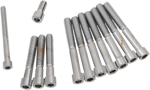 Cover Bolt Set Silver, 1, nordicamoto.ro