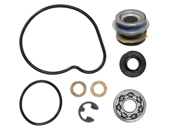 KIT REPARATIE POMPA APA ARCTIC CAT 500 4X4 '00-'06, SUZUKI LT-A 500F VINSON '02-'07