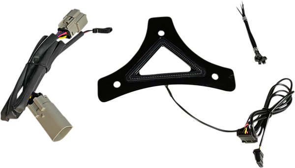 Dual Intensity Run & Brake Backrest Led Light Red, 1, nordicamoto.ro