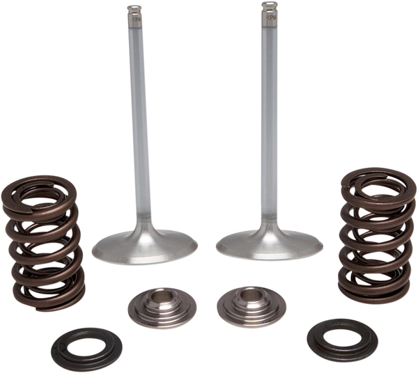 Stainless Steel Conversion Valve And Spring Kit, 1, nordicamoto.ro