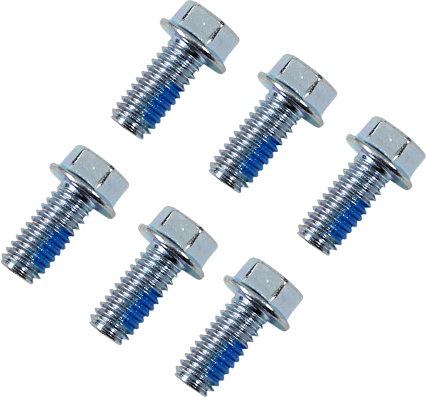 Rotor Bolt Kit Silver-861234eacf4d7d0a6bd3cc6524dff3f1.webp