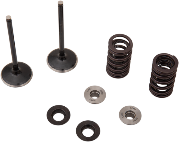 Stainless Intake Valve And Spring Kit-862f1001ddb20d2bf775a7efb57bd9b6.webp