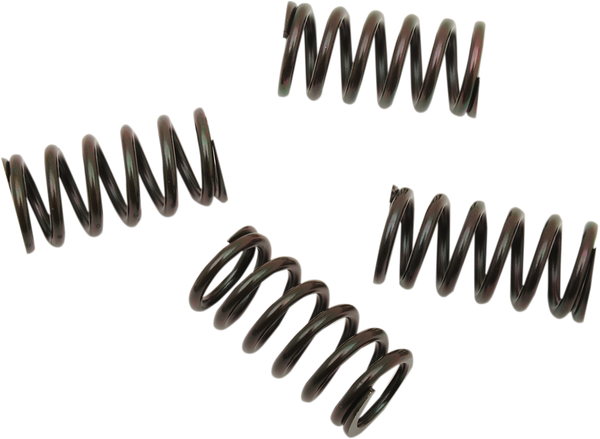 Clutch Spring Kit Black, 1, nordicamoto.ro