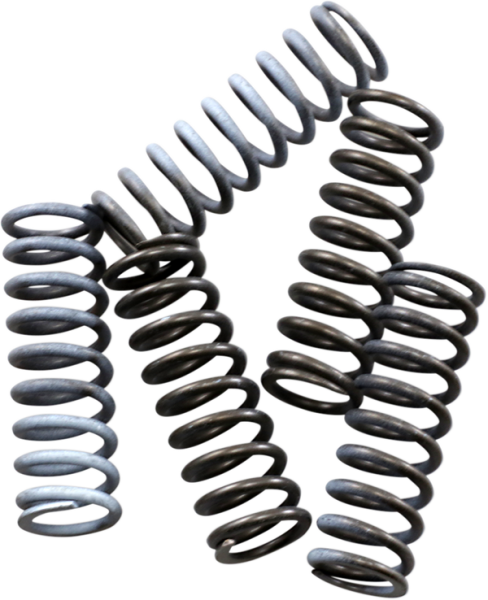 Hi-temp Clutch Spring Kit Steel, 1, nordicamoto.ro