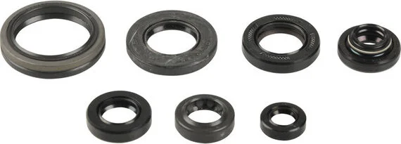Garnitură de ulei pentru motor, 1, nordicamoto.ro