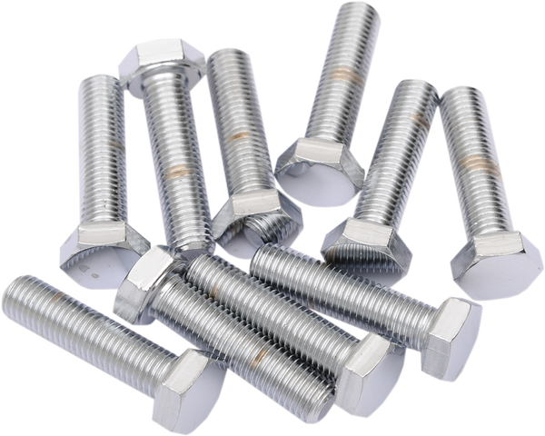 Fine-thread Hex-head Bolt Assortment Silver, 1, nordicamoto.ro