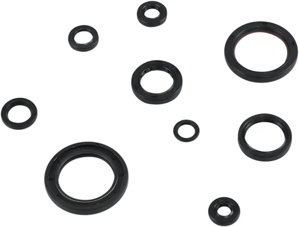 MOOSE RACING Oil Seal Kit -0