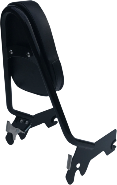 Sissy Bar Gb 18-19 Flhc, 2, nordicamoto.ro