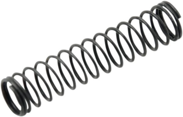 Needle Valve Spring, 1, nordicamoto.ro