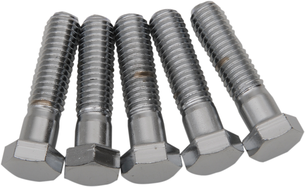 Replacement Hex-head Bolts Silver, 1, nordicamoto.ro