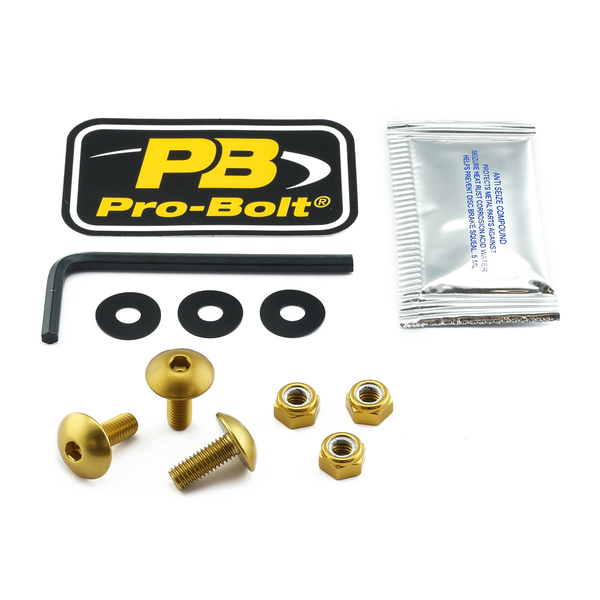 License Plate Screws Gold