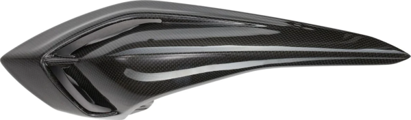 Panou spate din carbon, 1, nordicamoto.ro