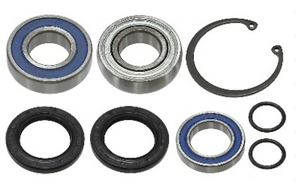 Sno-X Chain case bearing kit Polaris