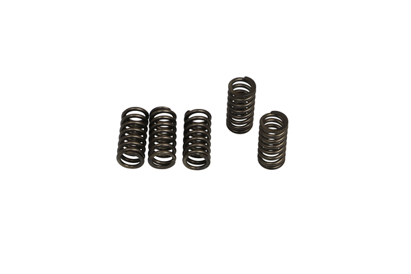 Set arcuri ambreiaj CSK, 1, nordicamoto.ro