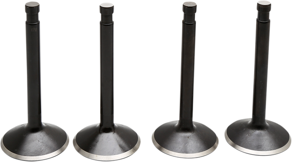 Engine Valve Kit, 1, nordicamoto.ro