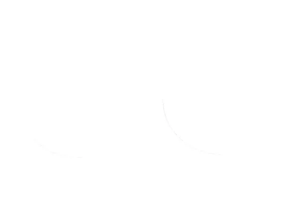 Fork Oil Seals Black