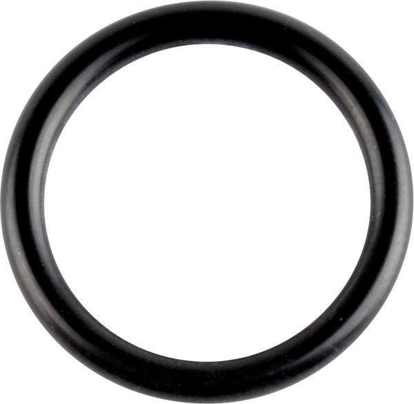 O-ring Crankshaft, 1, nordicamoto.ro