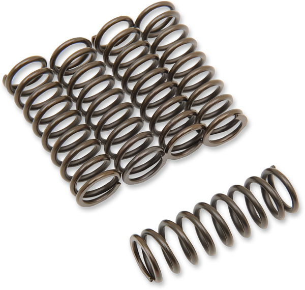 Clutch Spring Kit Black, 1, nordicamoto.ro