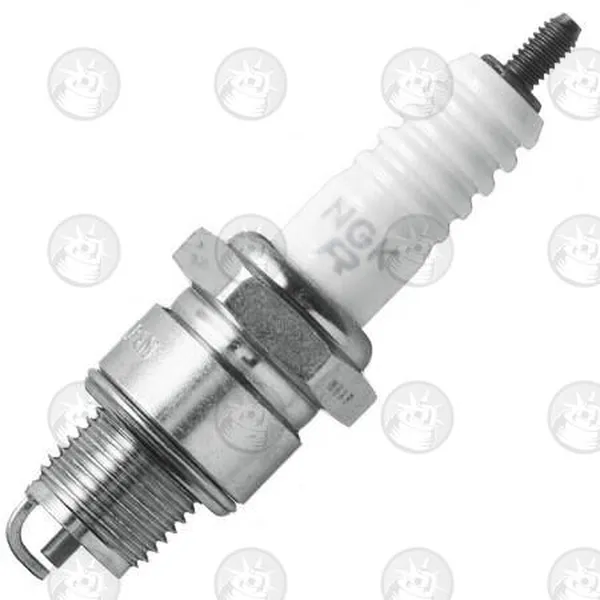 Special Spark Plug-2