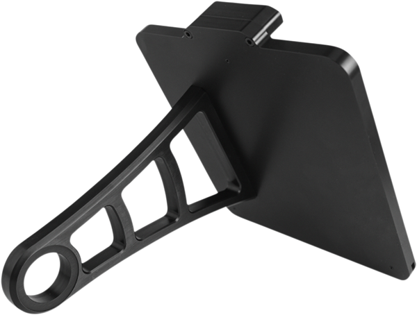 Side Mount License Plate Holder W/plate Lights Black, 1, nordicamoto.ro