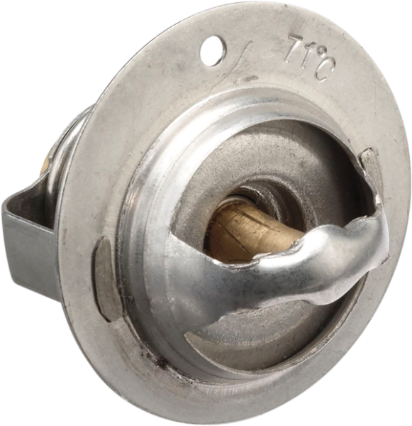 Replacement Thermostat -9acd3b941ce5aacc0f915343015b0d72.webp