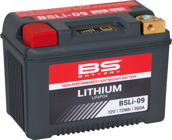 Lithium Lifepo4 Battery Black 