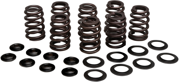 Beehive Valve Spring Kit, 1, nordicamoto.ro