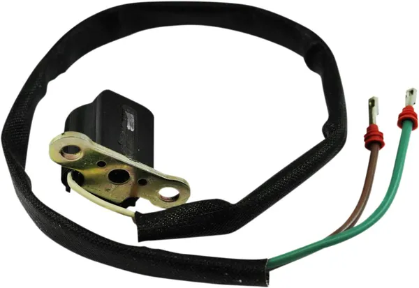 Pickup Coil Assembly, 1, nordicamoto.ro