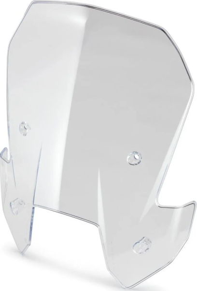 Windshield