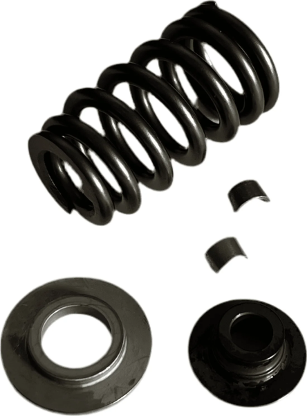 Valve springs kit 450