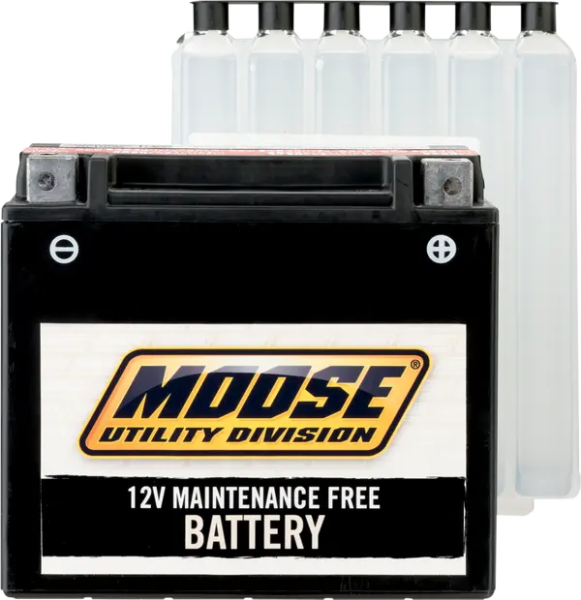 Agm Maintenance Free Batteries -0