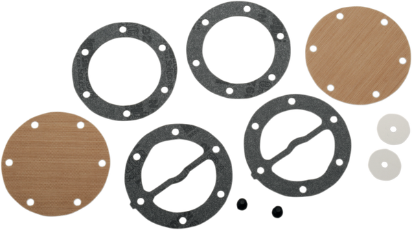 Fuel Pump Repair Kit-9fd09d23358c08aeea7ca4eb99e626aa.webp