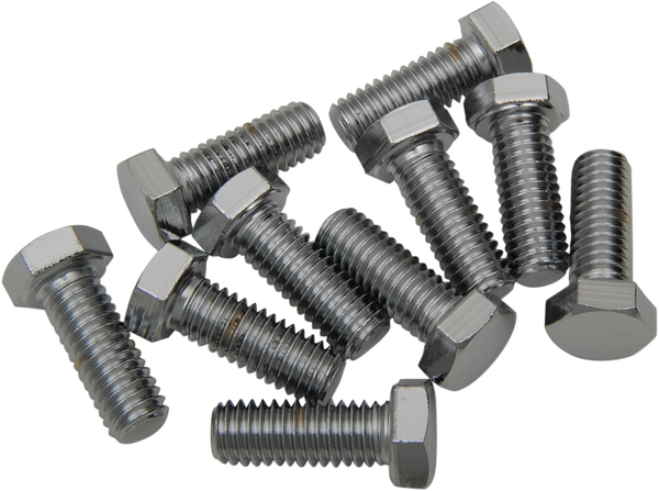 Replacement Hex-head Bolts Silver, 2, nordicamoto.ro