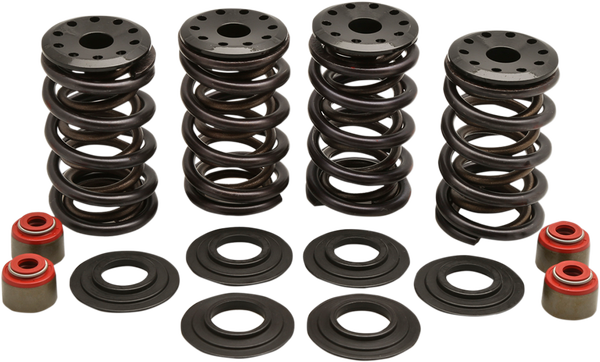 Valve Spring Kit, 1, nordicamoto.ro