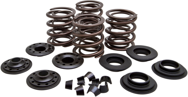 Complete Valve Spring Kit, 1, nordicamoto.ro