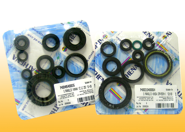 Oil Seal Kit 