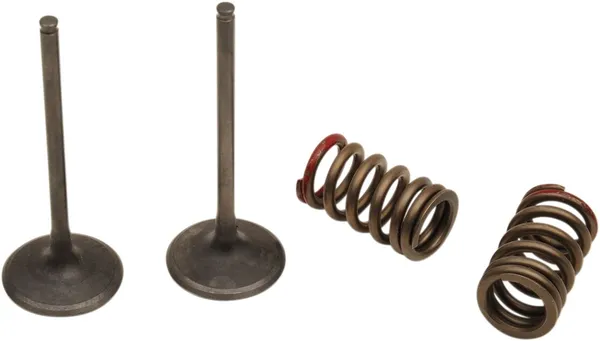 Valve And Spring Kit-0