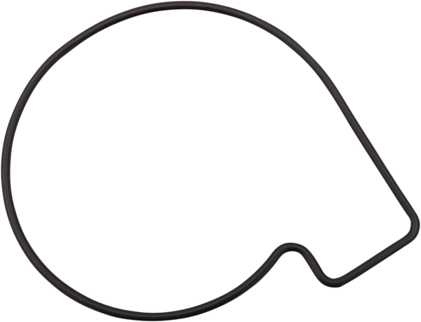 Water Pump Shaft Seal, 1, nordicamoto.ro