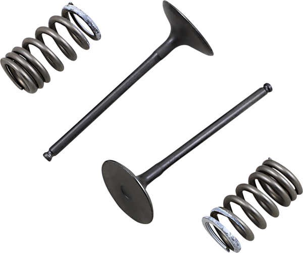 Valve And Spring Kit-0