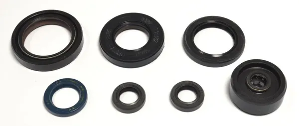 Engine Oil Seal-1