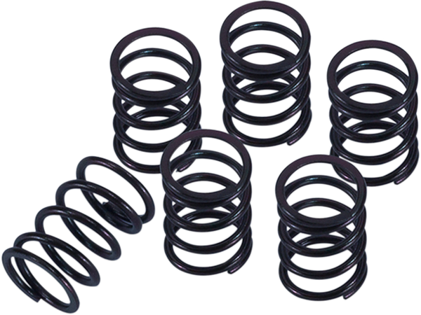 Clutch Spring Kit Black, 1, nordicamoto.ro