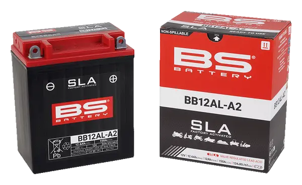 Sla Factory-activated Agm Maintenance-free Batteries Black-0