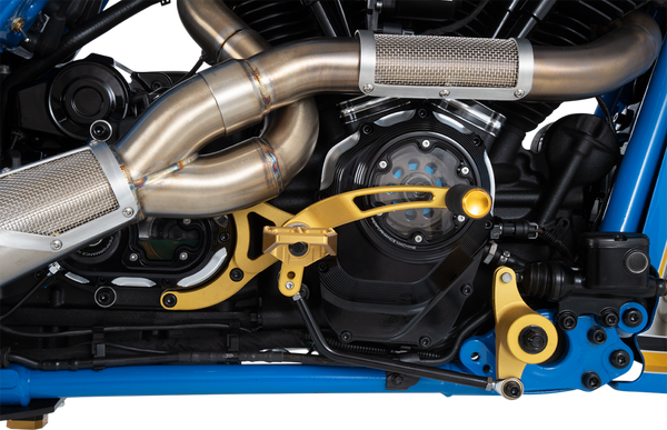 Big Sexy 2:1 Exhaust Systems Brushed, 2, nordicamoto.ro