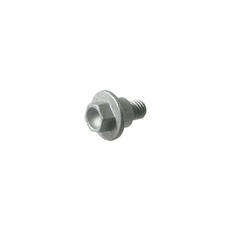 Special screw M6x12 5-0