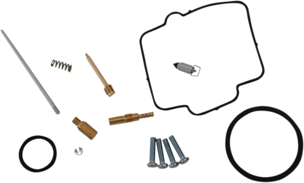 Carburetor Repair Kit 