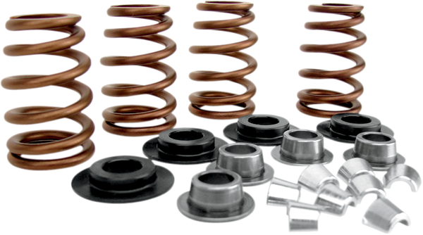 Beehive Valve Spring Kit, 1, nordicamoto.ro