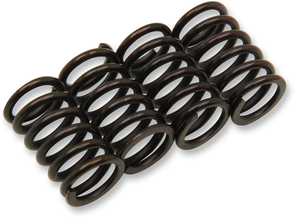 Clutch Spring Kit Black, 1, nordicamoto.ro