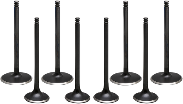 Engine Valve Kit, 1, nordicamoto.ro