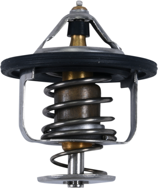 Thermostat Silver, 2, nordicamoto.ro
