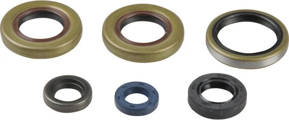 Garnitură de ulei pentru motor, 1, nordicamoto.ro
